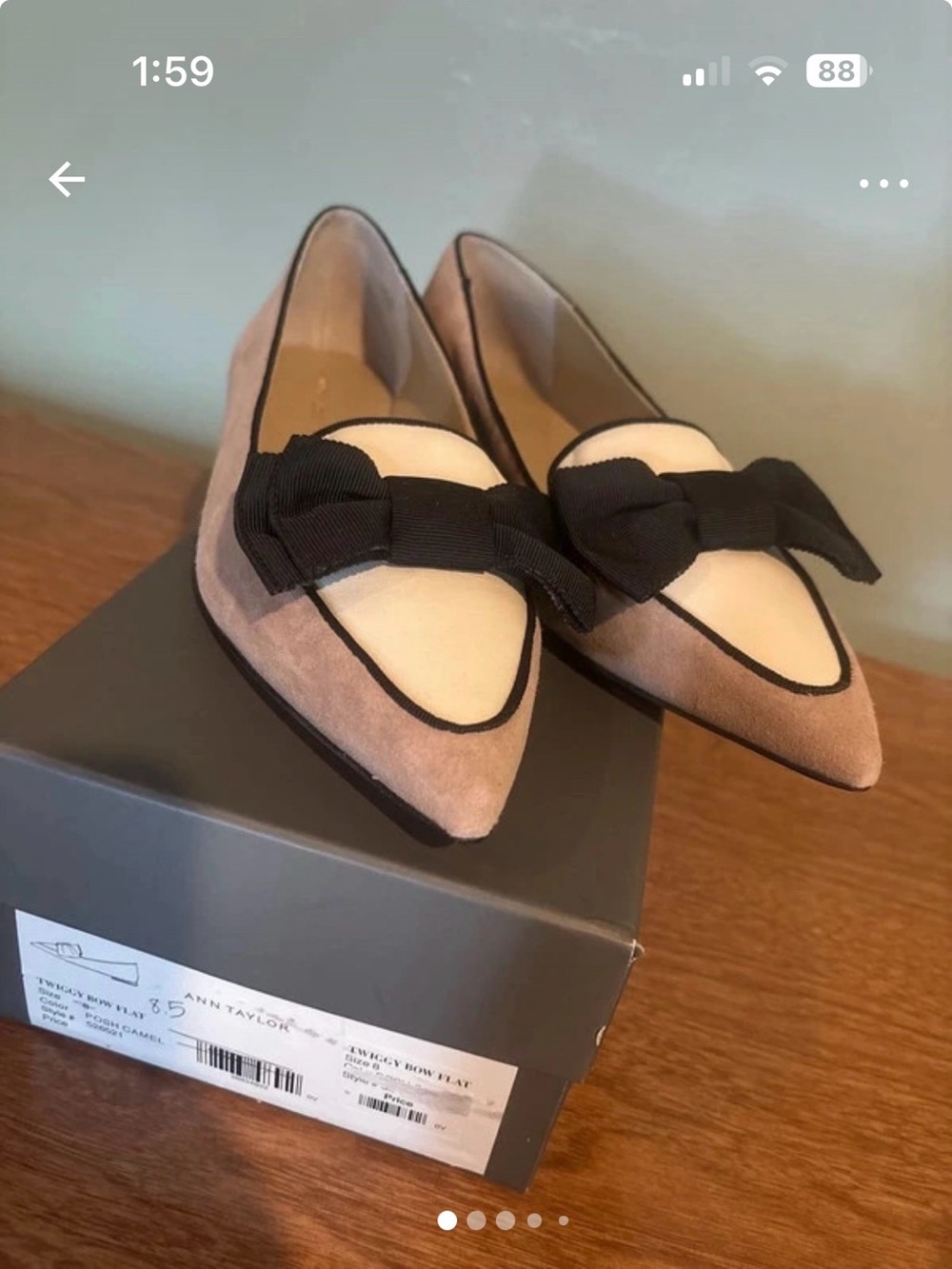 Ann Taylor Two-Tone Pointed Bow Flats in Taupe, Cream & Black